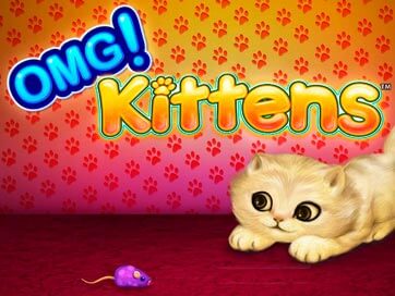 Omg Kittens